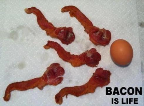 bacon-is-life.jpg