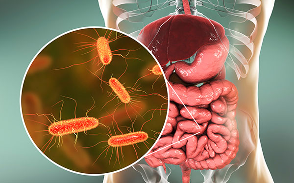 COVID-19 vaccines found to diminish beneficial bacteria in the human microbiome  