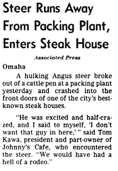 newspapers_73.jpg