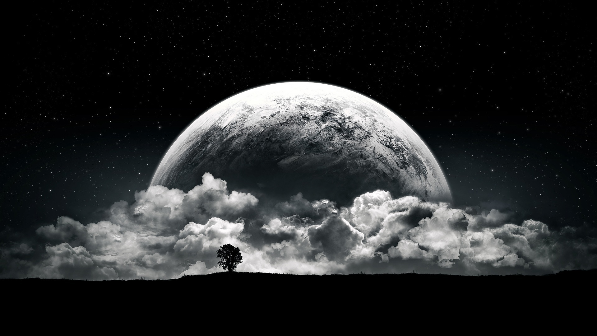 space__038508_.jpg