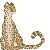 cheetah_icon_by_topazdragon19-d35u537.gif