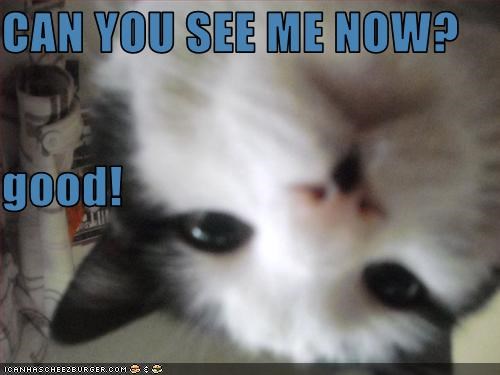 can-you-see-me-now-good