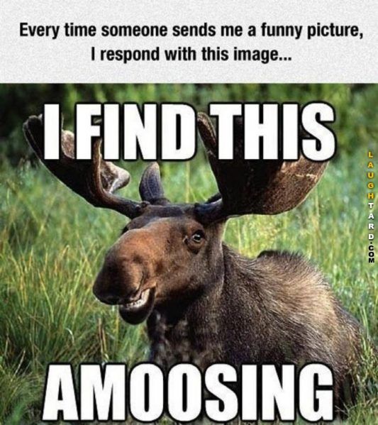719a4f3b83eec61c87791622ce347851--humour-funny-lol-funny.jpg