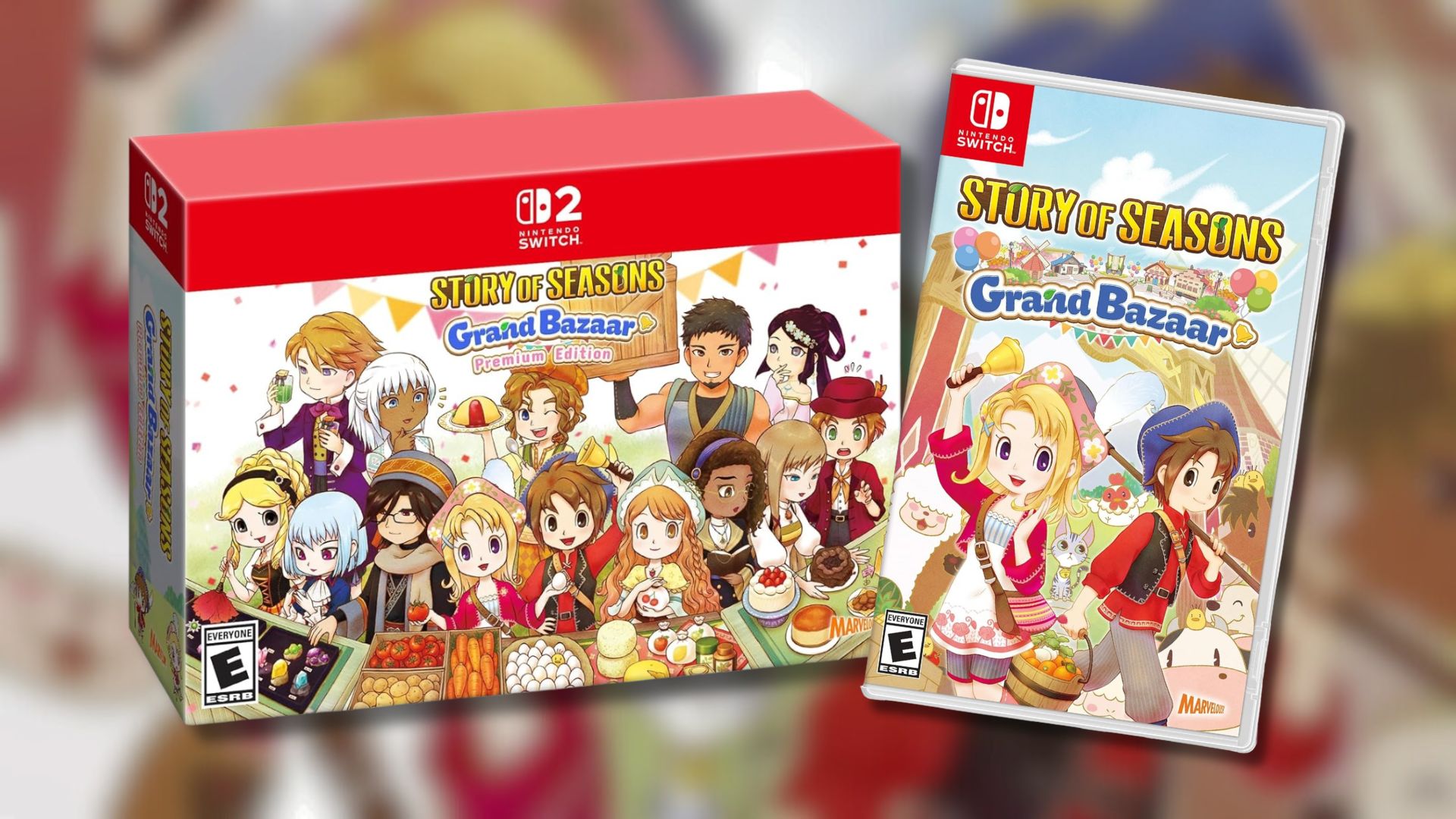 story-of-seasons-grand-bazaar-preorder-1751029800065.jpg