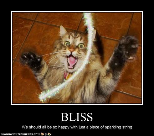 bliss-tinsel.jpg