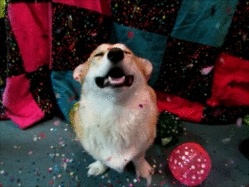 tumblr_o06cubXDNC1udh5n8o1_250.gif