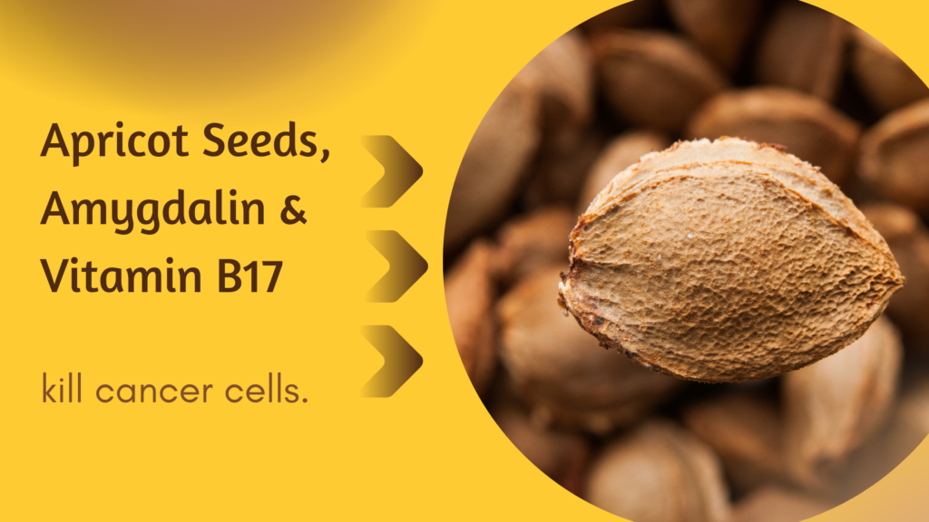 breastcancerconqueror.com