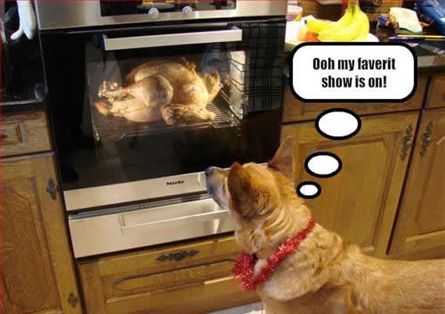 thanksgiving_moments_640_35.jpg