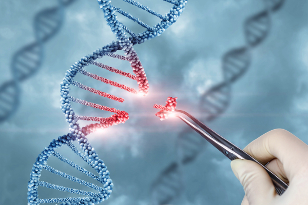 U.K. approves CRISPR gene editing to create GMO humans  