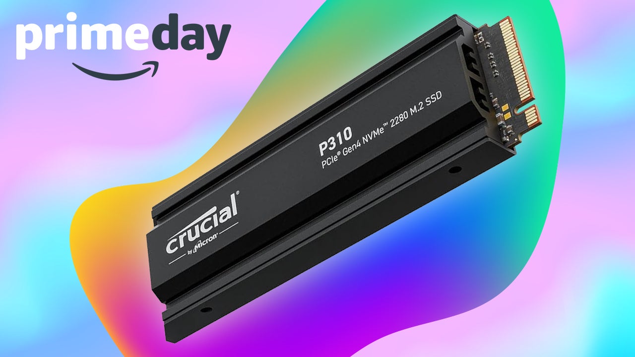 crucialp310-1751926823073.jpg