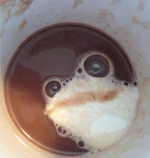 frog-in-hot-chocolate.jpg