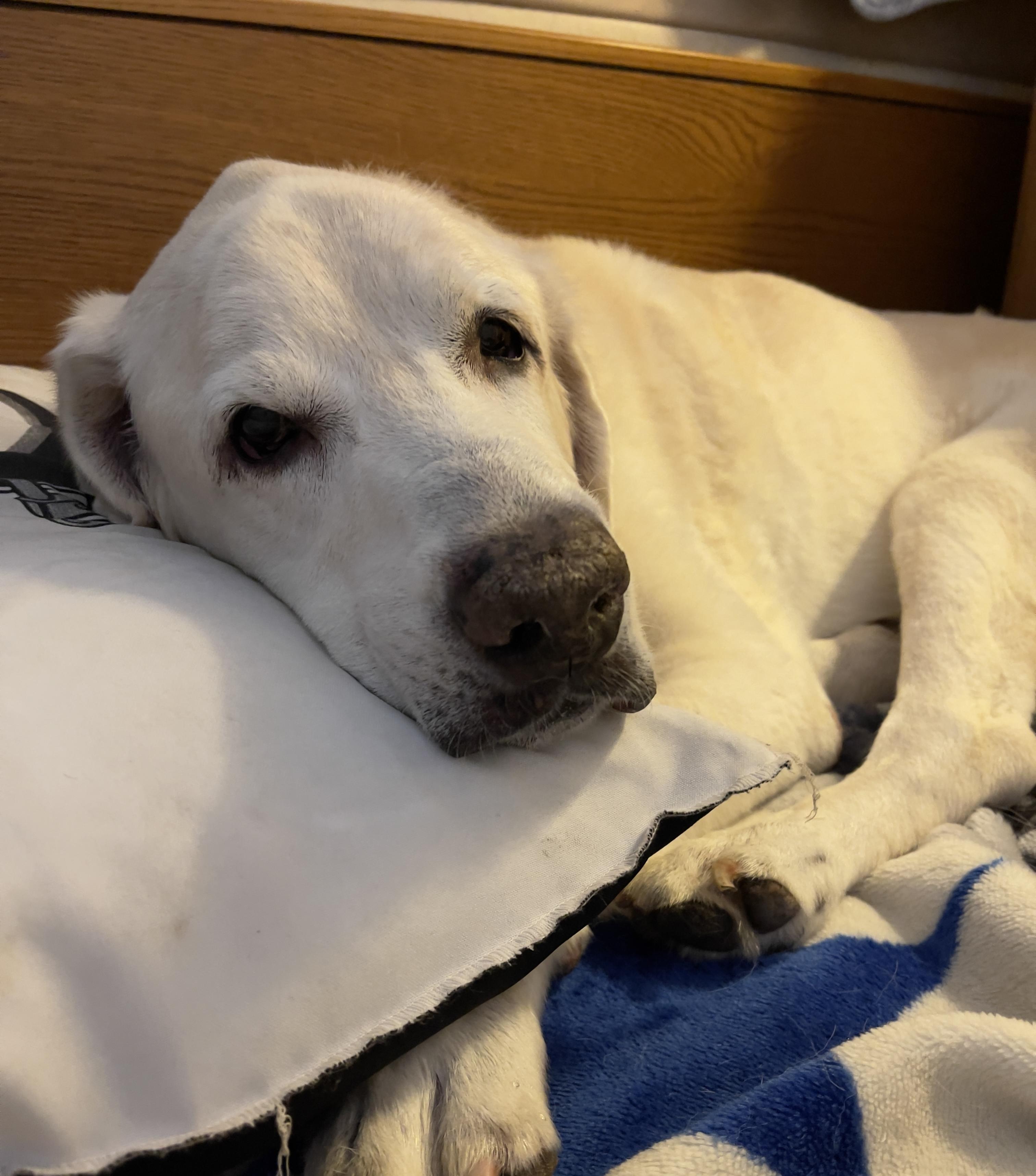 571c0b37c9518e022df7f6104fcf4122.dng