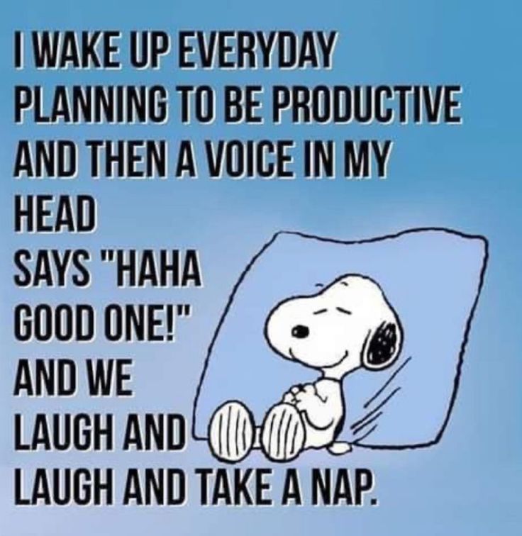 This may contain: a cartoon snoopy laying in bed with the caption i wake up everyday planning to be productive and then a voice in my head