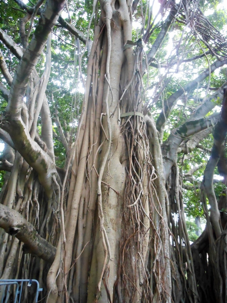 20130609-185611.jpg