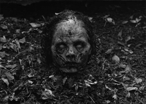 tumblr_mrf7e20Wbc1sws5qlo1_500.gif