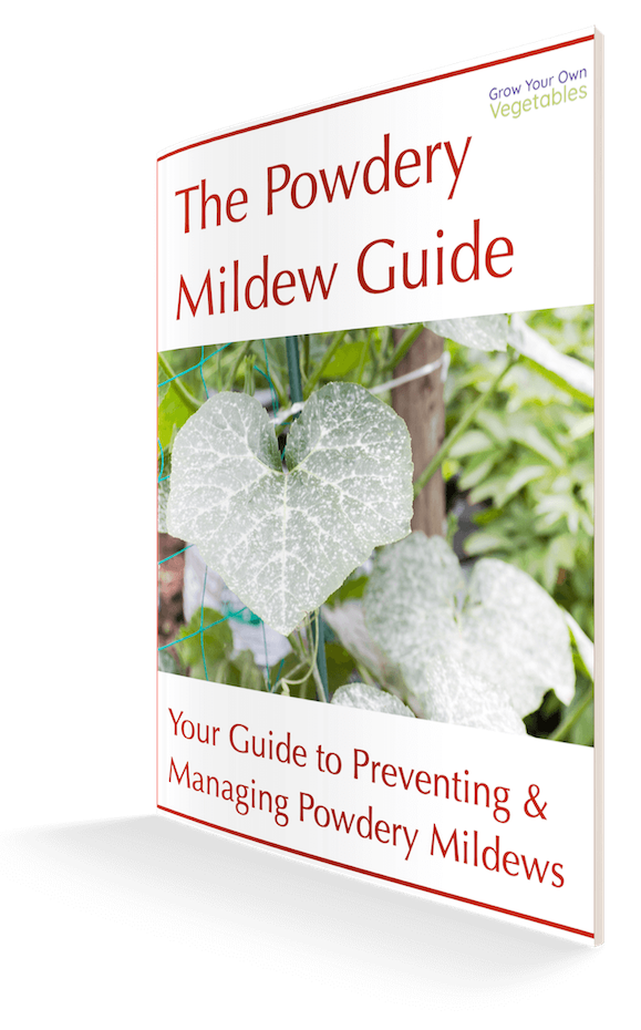 3D Image of the Powdery Mildew Guide