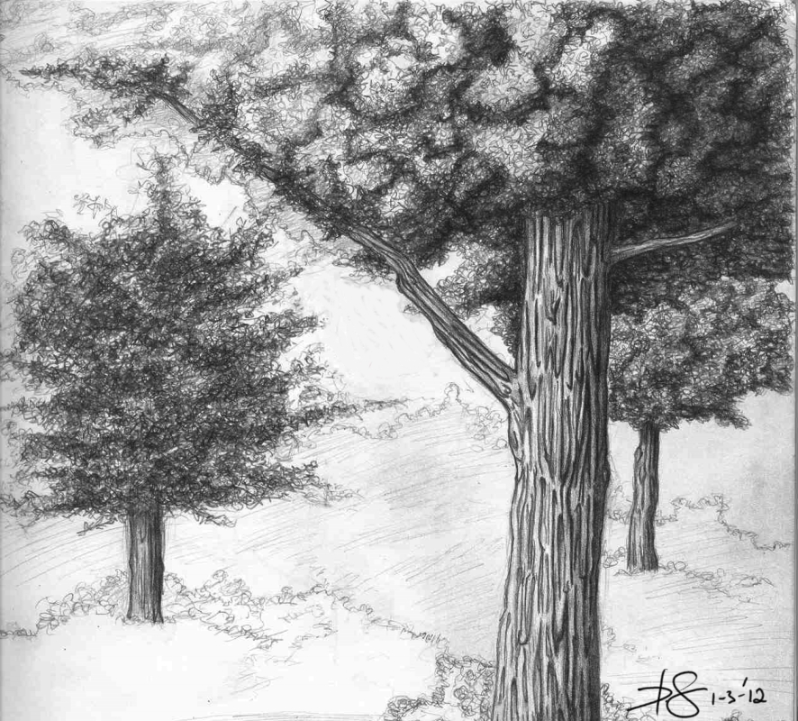 tree_sketch_by_thesis_d-d4o51n2.jpg