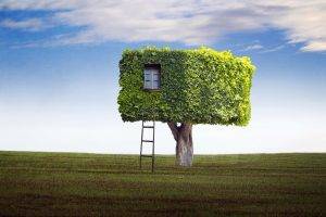 funny-tree-house-300x200.jpg