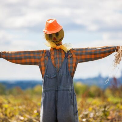 How to Scare Crows Away: Make a Garden Scarecrow