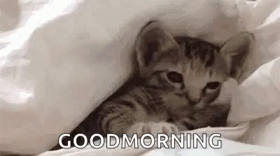 gifs-good-morning-19-gap.jpg
