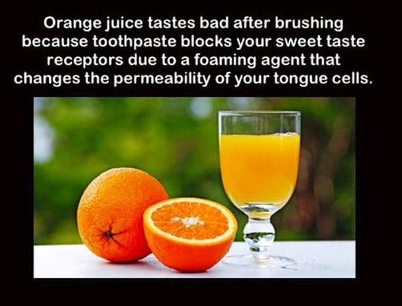 05-fun_facts_24.jpg