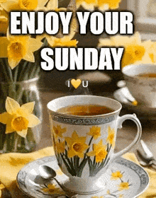 happy-sunday.gif
