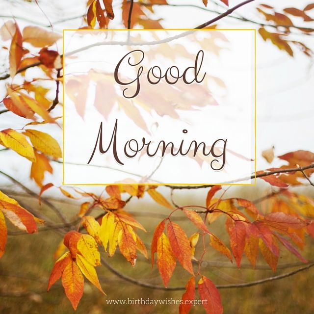 203533-Good-Morning-With-Autumn-Leaves.jpg