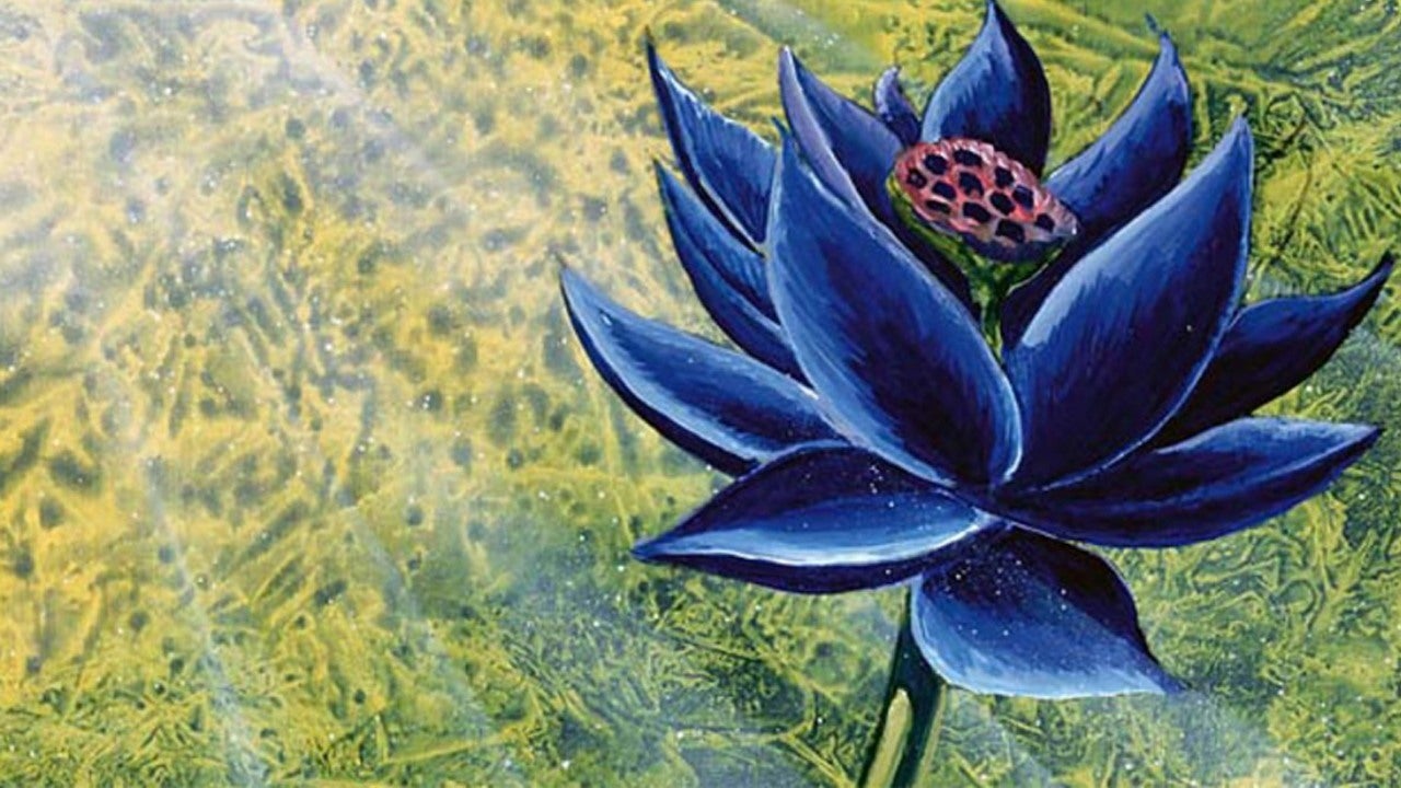 black-lotus-1611845241854.jpg