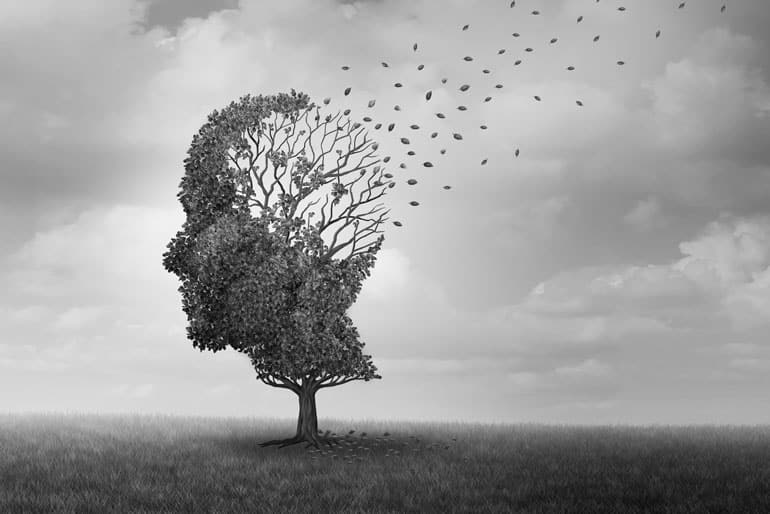 carpathiacollaborative.com