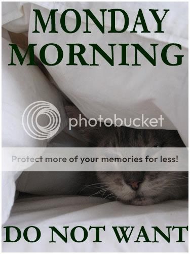 MondayMorning_zps6a55421c.jpg