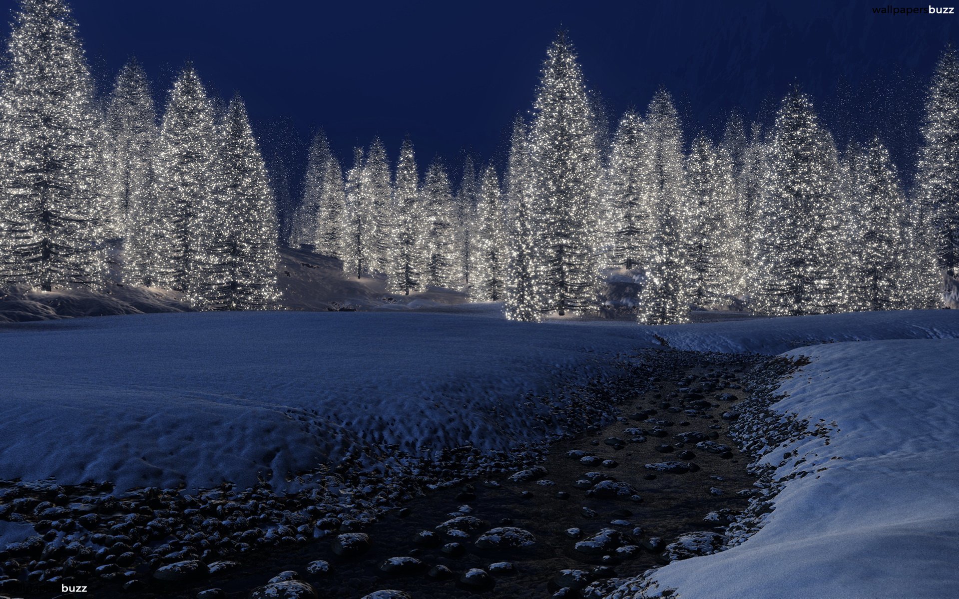 shining-fir-trees.jpg