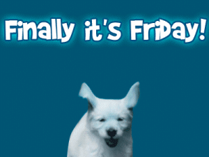e1339a814eb053d98b8a9eae096a6e6d.gif