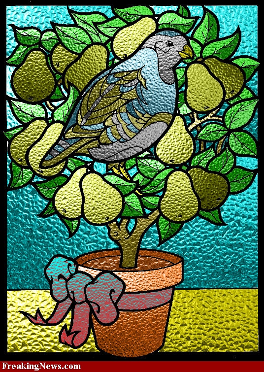 a-partridge-in-a-pear-tree-34654.jpg