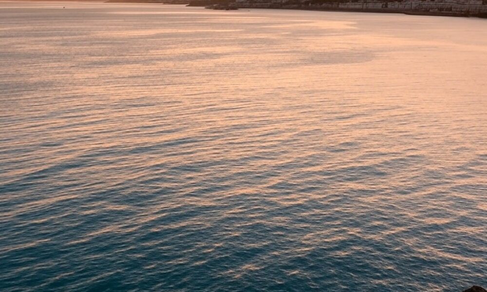 healthyhappynews.com