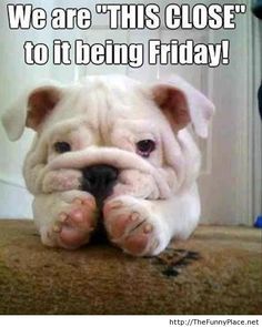 47106e952e3cddf8fa7d08f6ef4b2342--almost-friday-is-it-friday.jpg