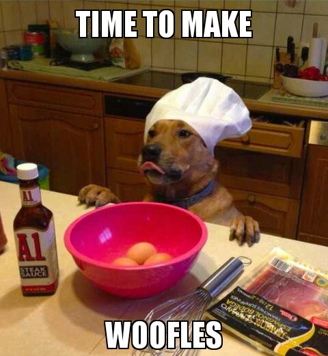 Chef-Dog-Meme-Is-Ready-To-Make-Some-Woofles.jpg