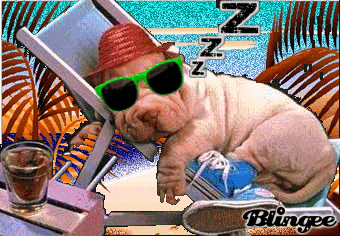 483232387_688530.gif