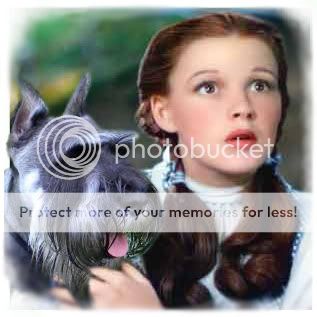 Dorothy1.jpg