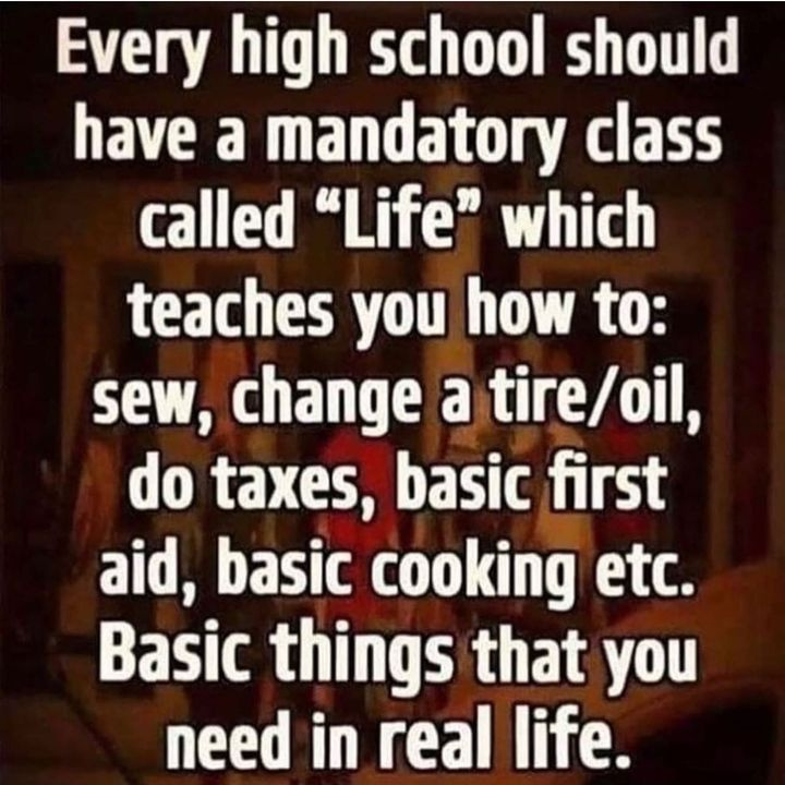 May be an image of text that says 'Every high school should have a mandatory class called Life which teaches you how to: sew, change a tire/oil, do taxes, basic first aid, basic cooking etc. Basic things that you need in real life.'