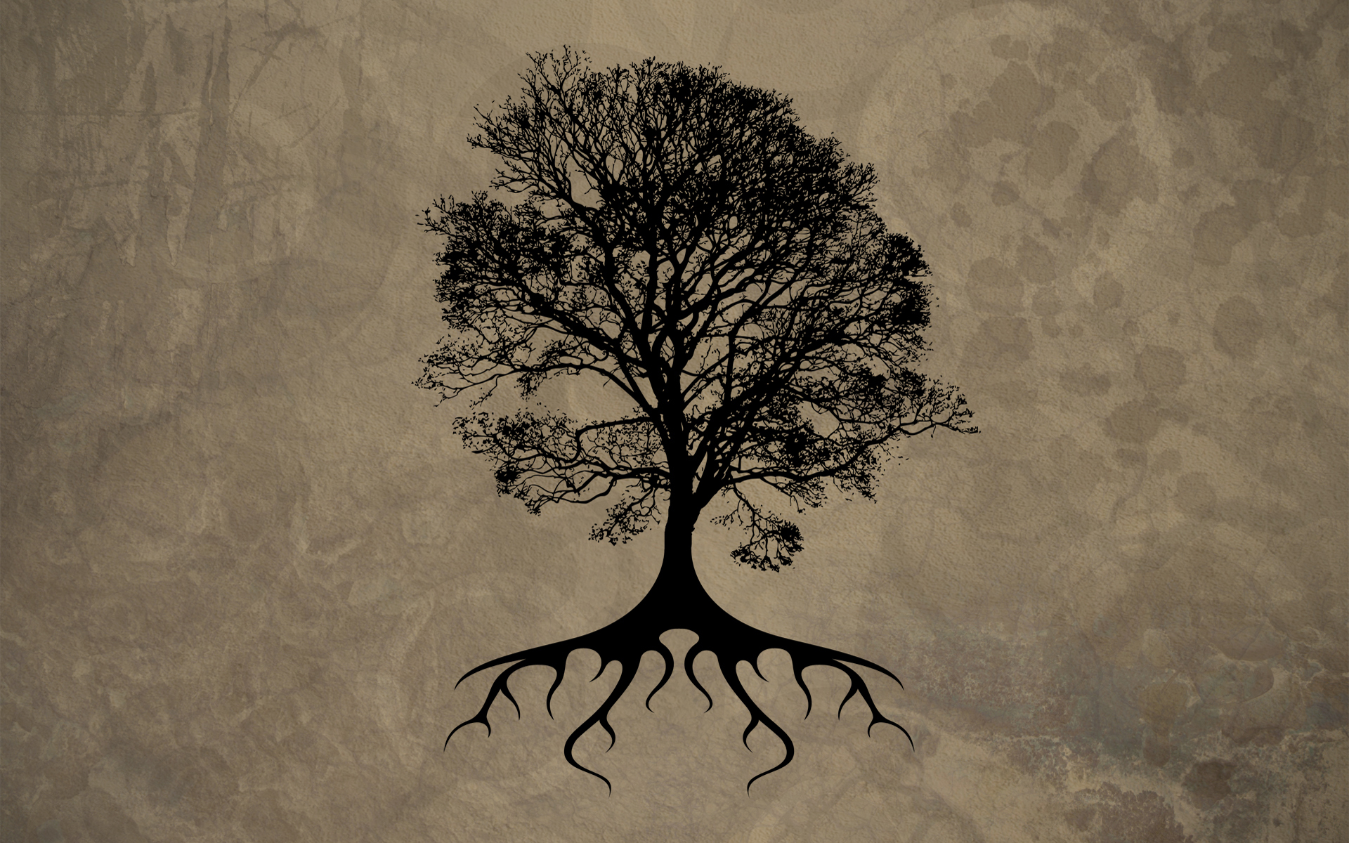 cool-tree-silhouette-wallpaper-1.jpg