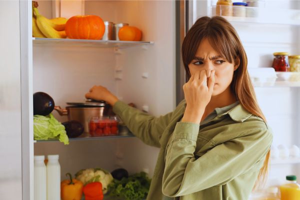 thenutritionwatchdog.com