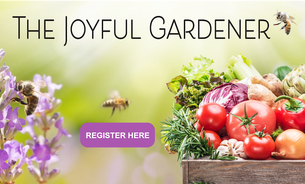 growyourownvegetables.org