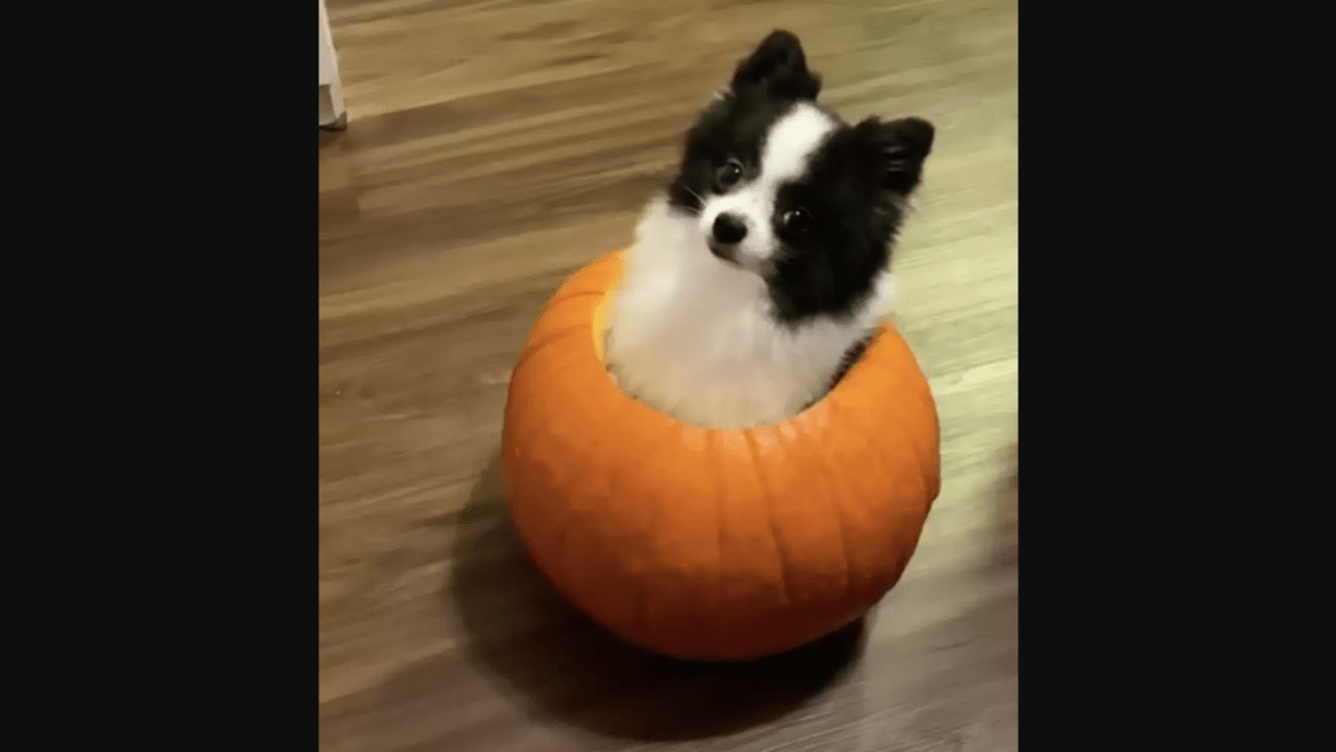 healthyhappynews.com