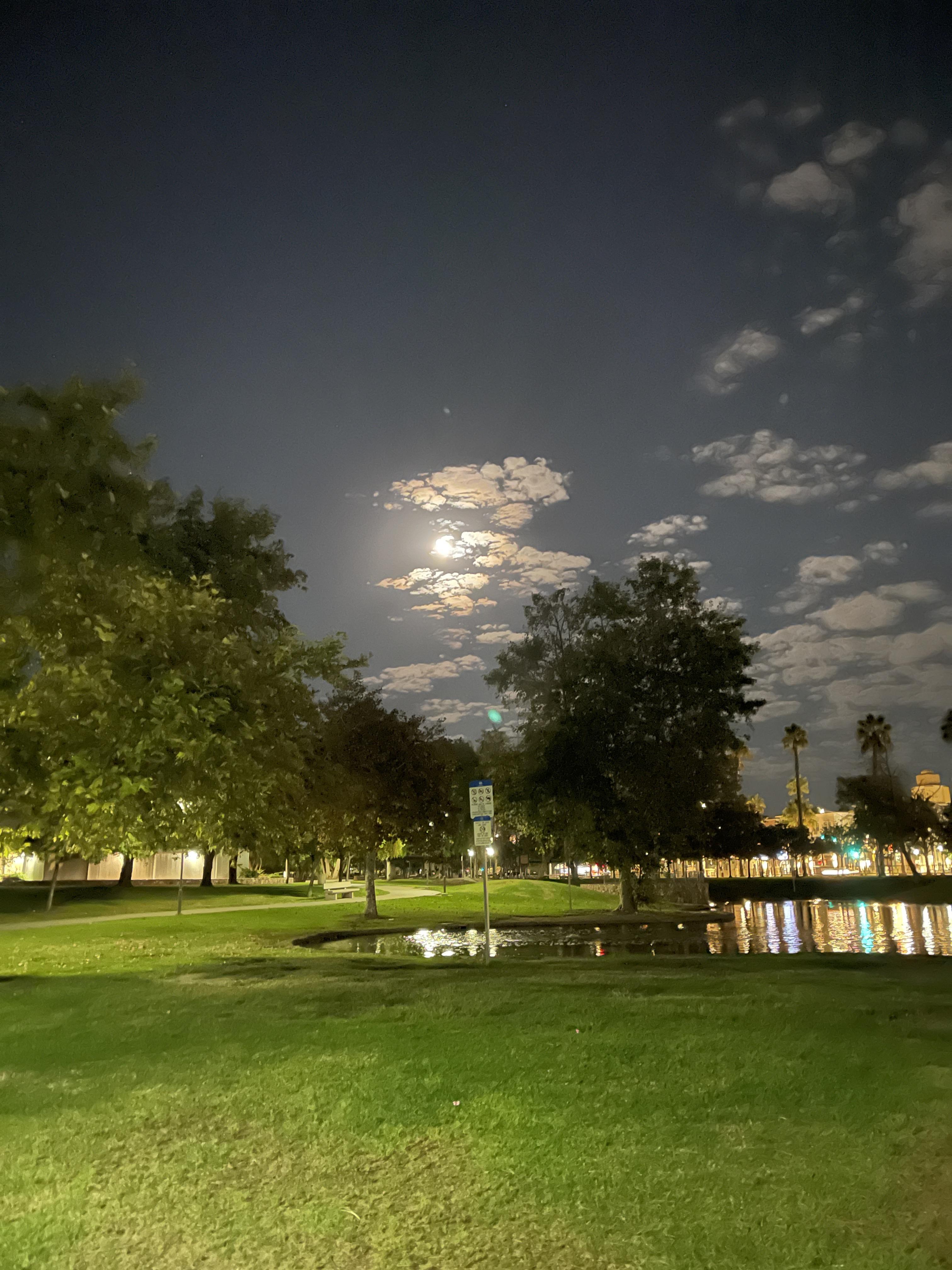 47d6c98c30ea7c0230ece80c42a19a6e.dng