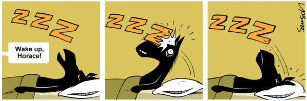 9851f92095870132c6c2005056a9545d