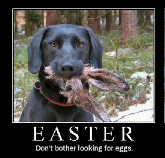 easter_dog.jpg