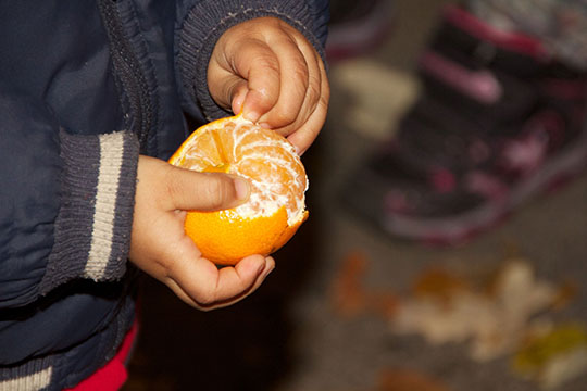 Children often experience greater exposure to chlorpyrifos because they eat more fruit like oranges, apples, cherries, and peaches for their weight relative to adults. (Annette Dubois / CC BY-NC 2.0)