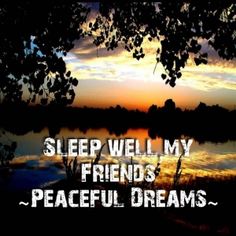 7fa2e3e35671c595e5d0840a6c33fb7d--sleep-well-my-friend.jpg