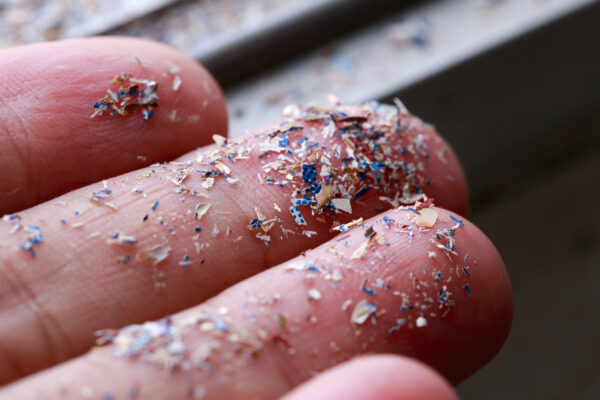 Microplastics Found in Human Testicles