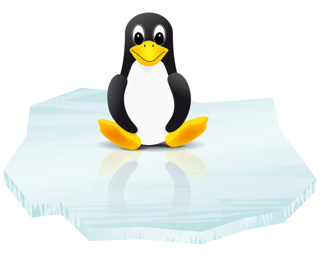 linux-penguin-e1440582872213.png